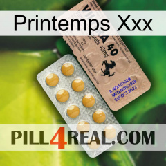 Spring Xxx 41